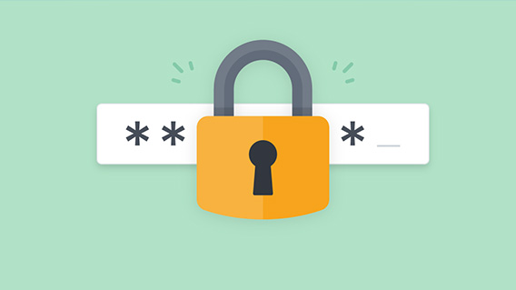 Password icon